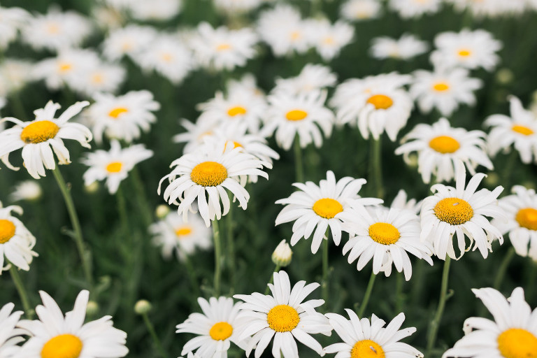 Casey James Photography-7954