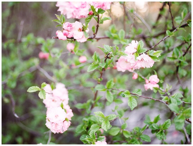 White Bouquet || Idaho Film Photographer || Casey James Photography